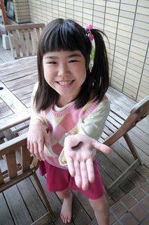 虫