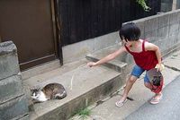 猫と遊ぶ