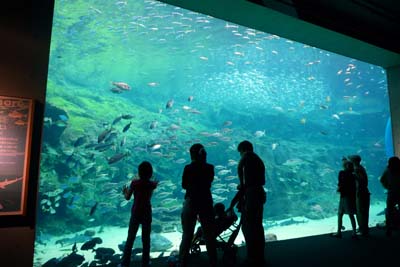 水族館