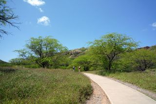 登山道